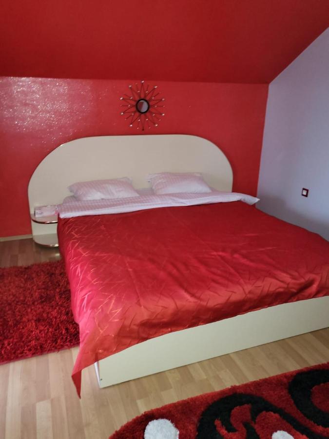 Vila Ana Cu Terasa Gratar Si Jacuzzi Satu Mare Exterior foto