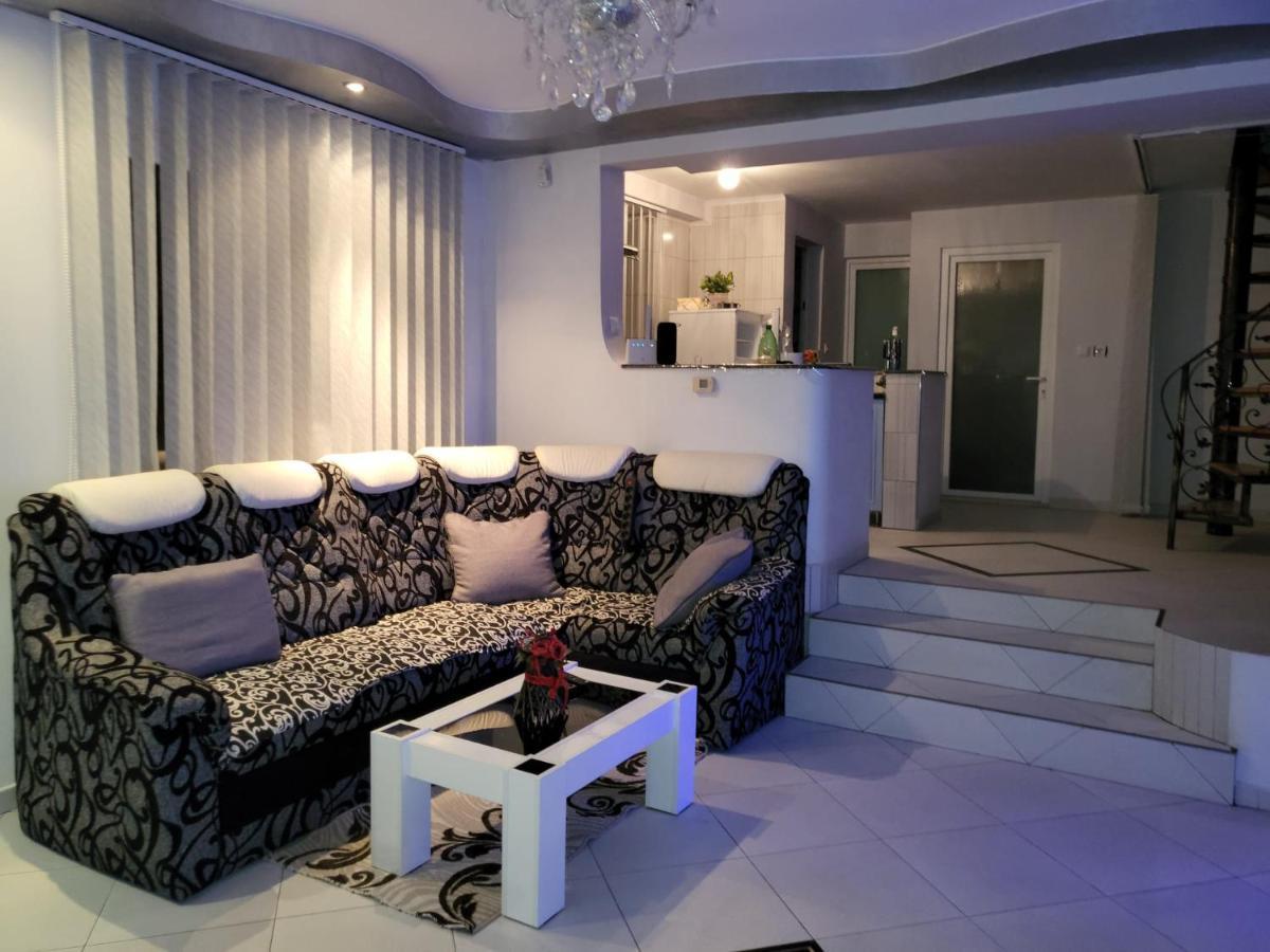 Vila Ana Cu Terasa Gratar Si Jacuzzi Satu Mare Exterior foto