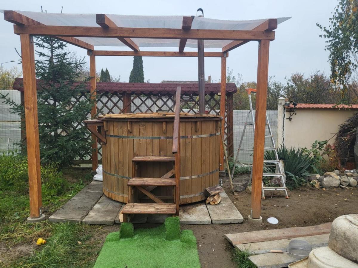 Vila Ana Cu Terasa Gratar Si Jacuzzi Satu Mare Exterior foto