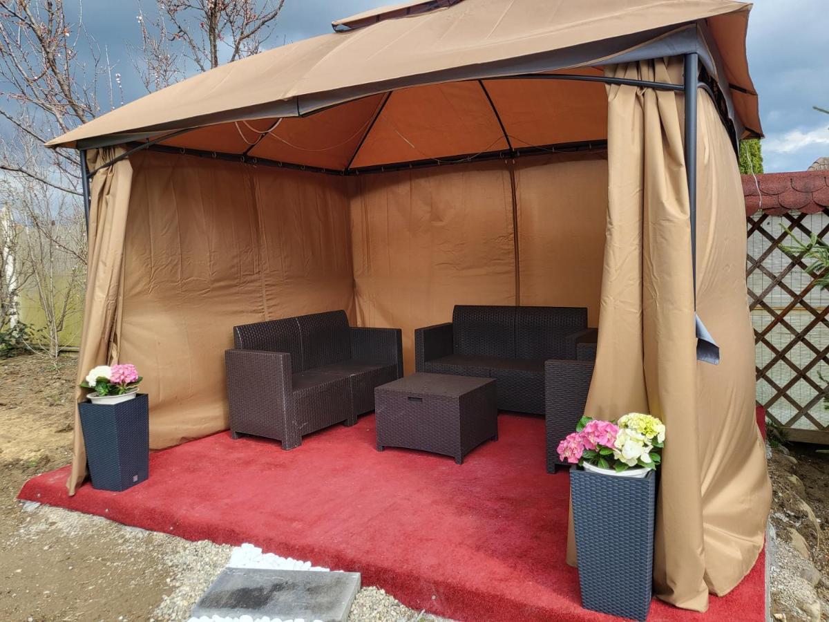 Vila Ana Cu Terasa Gratar Si Jacuzzi Satu Mare Exterior foto